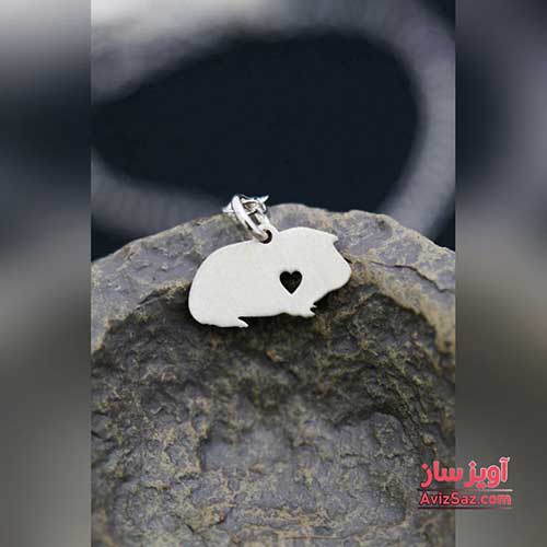 گردنبند خوکچه هندی کد 100280